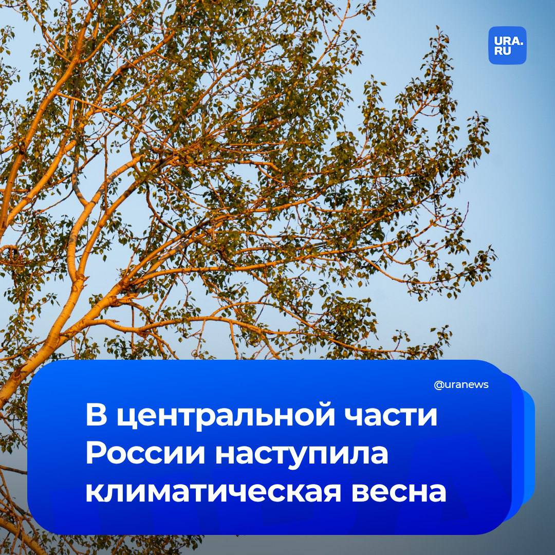 Не рановато ли? В Москве и центральной части России с 23 января наступила метеорологическая весна. Об этом NEWS.ru сообщил ведущий специалист Центра погоды «Фобос» Евгений Тишковец.    По словам синоптика, как минимум до конца месяца жители европейской части страны будут находиться «в состоянии метеорологической весны и оттепельных параметров температуры».