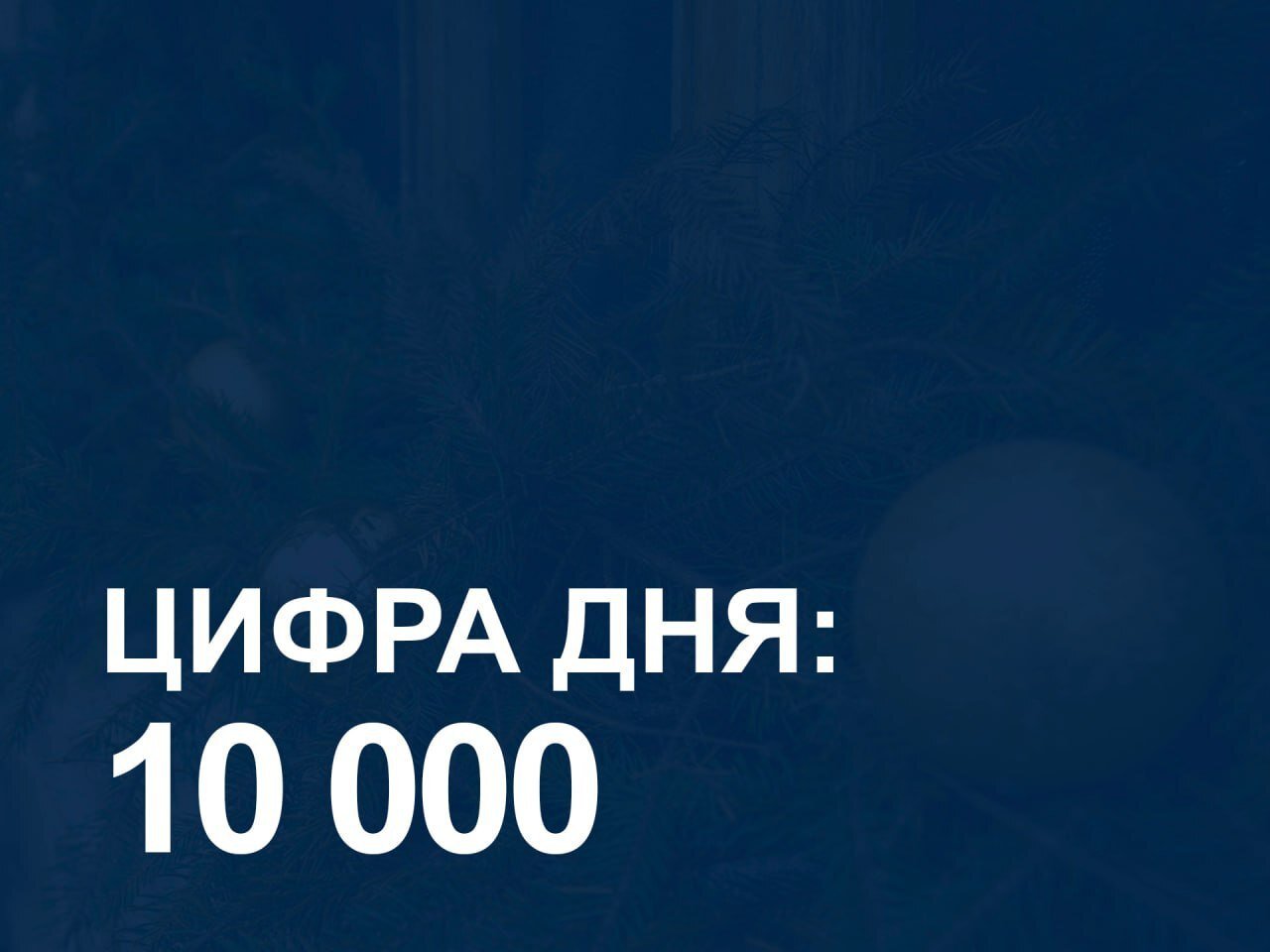 БОЛЕЕ 10 ТЫСЯЧ ЛЕЕВ – именно столько будут стоить самые дорогие новогодние ёлки на ёлочных базарах в Молдове.  Минимальная цена – от 750 леев за хвойное дерево.   Нехило, учитывая, что всего год назад разброс составлял от 300 до 600 леев за живую ёлку.   Дело не только в «хороших временах», но и, как поясняют сотрудники питомников, максимальные цены будут установлены только для редких пород, таких как голубая или сибирская ель.  Но это, как говорится, не точно.   Будем посмотреть!  Подписывайся