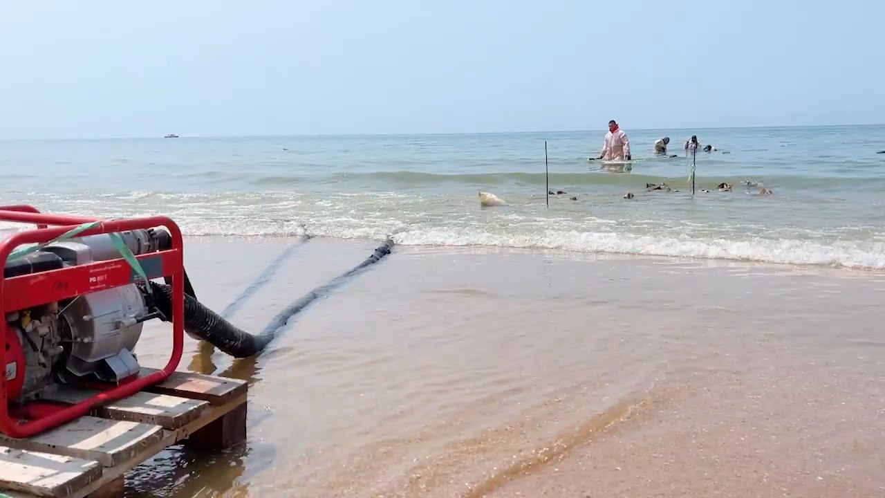 В Анапе водолазы собрали со дна Черного моря 439 тонн мазута С момента начала работ по ликвидации ЧС на побережье Краснодарского края очищено 573,4 километра берега, собрано более 164,5 тыс тонн загрязненного песка и грунта, вывезено на площадки временного хранения свыше 134 тыс тонн. В прибрежных зонах Анапы и Темрюкского района сводная водолазная группировка ежедневно, если позволяет погода, собирает мазут со дна Черного моря. -Водолазы уже совершили 7092 спуска. С помощью подводных управляемых аппаратов обследовано почти 7,5 тыс. квадратных метров дна, собрано 439 тонн отходов,-сообщила пресс-служба МЧС России в своём Telegram-канале. Как писали Новости Анапы, по словам министра ГО и ЧС Краснодарского края Сергея Штрикова, водолазы продолжают сбор и подъём со дна моря в Анапе ранее обнаруженных нефтепродуктов. Речь идёт примерно о 300 тоннах, которые планируют убрать до конца июня.