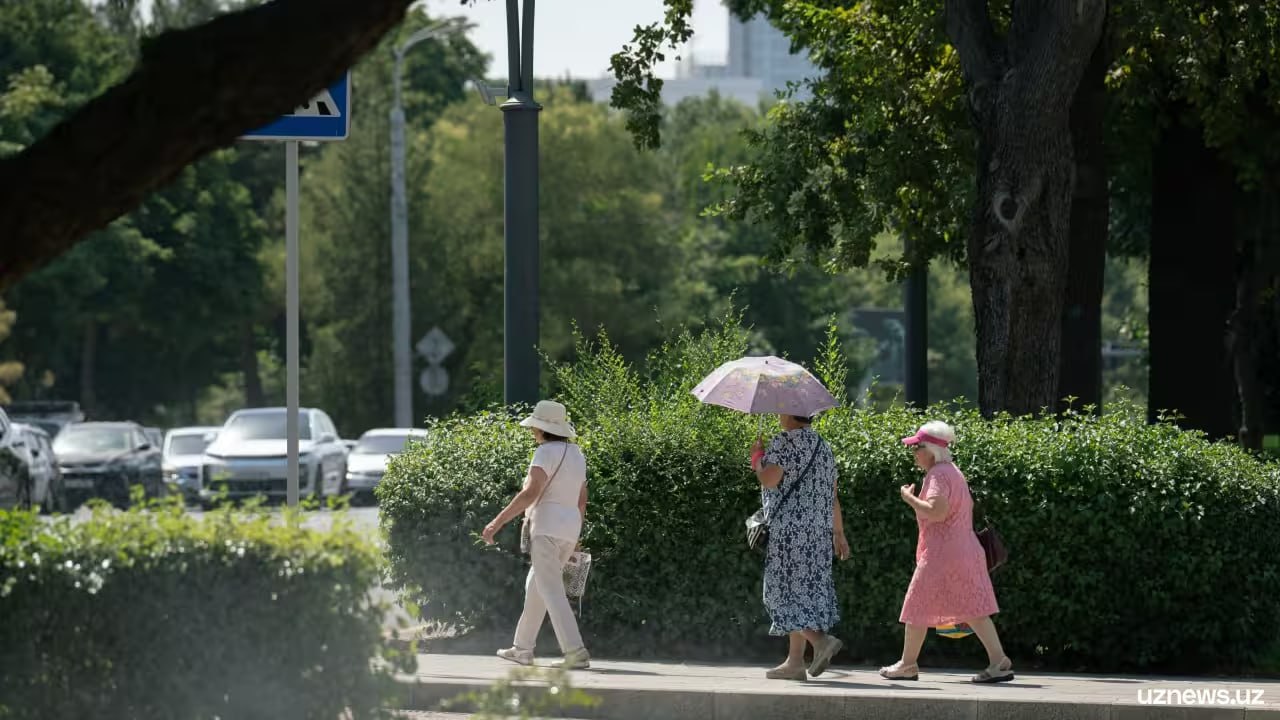 В Узбекистане утвердили список профессий для досрочного выхода на пенсию Досрочно выйти на пенсию могут не только шахтеры и летчики но и артисты балета дрессировщики сотрудники психдиспансеров и матери детей с инвалидностью uznews uz ru news 104127 uznews