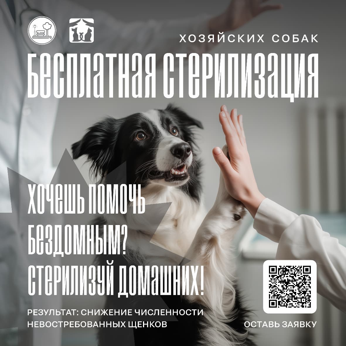 В Барнауле приют «Ласка» начал прием заявок на бесплатную стерилизацию собак в рамках гранта Приют «Ласка» приступил к реализации грантовой поддержки администрации города. Напомним, в феврале текущего года комитетом по благоустройству был объявлен конкурс на соискание грантов для осуществления деятельности по содержанию животных, в том числе без владельцев. Одним из направлений грантовой поддержки стало оказание услуг по бесплатной стерилизации более 700 домашних собак. Такие меры позволят сократить появление нежелательного потомства, что в дальнейшем будет способствовать снижению количества безнадзорных животных. В настоящее время приютом организована работа по сбору заявок на получение процедуры. Подать заявку могут жители частного сектора города Барнаула, сделать это можно по телефону 8-903-948-36-03. Сотрудники приюта обеспечат доставку собак в ветеринарную клинику, проведут операцию, окажут консультации хозяевам по послеоперационному уходу за питомцами. Отметим, что операции проводят опытные врачи качественными материалами в пункте стерилизации «Только желанные щенки», открытом приютом Ласка при поддержке Фонда президентских грантов. Кроме оказания услуг по стерилизации в рамках реализации грантовой поддержки приютом также будет создано 100 дополнительных мест для содержания животных без владельцев, проведено бесплатное чипирование более 1300 животных.
