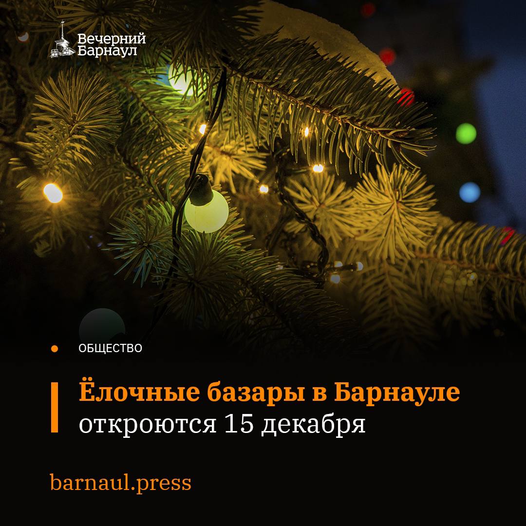 С начала декабря в Барнауле официально разрешено продавать хвойные деревья.   Всего в городе с 15 декабря будет работать 46 ёлочных базаров. Приобрести традиционный атрибут Нового года и Рождества жители Барнаула смогут во всех районах города до 31 декабря.   В Железнодорожном районе будет работать 6 уличных торговых точек по продаже ёлок, в Центральном районе — 9, в Ленинском районе — 4, в Октябрьском районе — 5.    Больше всего ёлочных базаров откроется в Индустриальном районе, здесь хвойные деревья можно будет приобрести на 22 площадках.  Адреса размещения ёлочных базаров можно найти на сайте.