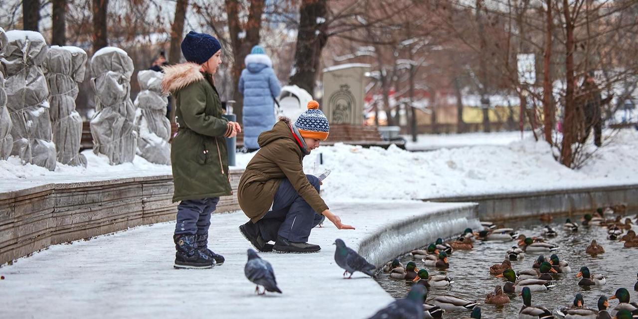 С наступлением холодов уткам, зимующим в московских водоемах, может не хватать естественной пищи, поэтому важно правильно подкармливать птиц. Орнитологи не рекомендуют давать им хлеб, поскольку он может вызвать нарушения пищеварения и дефицит необходимых витаминов и минералов.   Специалисты рекомендуют подкармливать уток смесями, состоящими из зерновых и семечек. Можно давать кукурузные зерна, геркулес, овсяные хлопья. Важно помнить, что предлагать корм уткам следует в умеренных количествах, чтобы не способствовать перееданию.    Больше о жизни в столице читайте в официальном телеграм-канале «Город Москва».