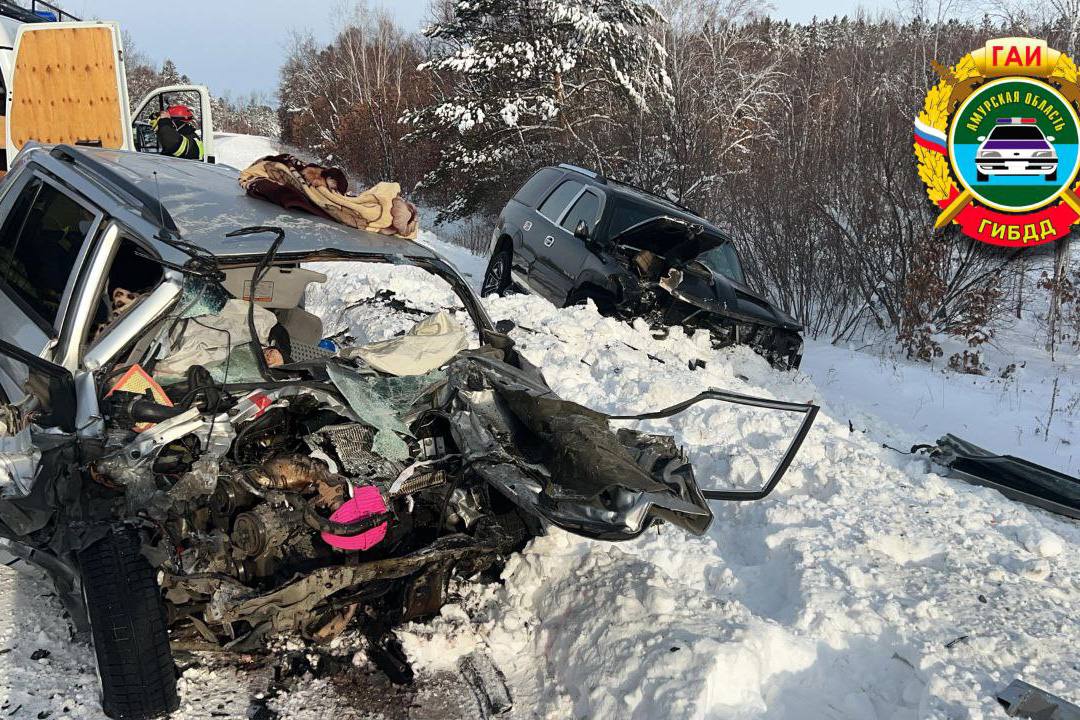 Двое детей пострадали и один человек погиб в утреннем ДТП в Благовещенском округе  На 19 километре дороги Благовещенск — Свободный столкнулись Cadillac Escalade и Mazda Demio. Один человек погиб, четверо, в том числе двое несовершеннолетних, с травмами госпитализированы в медучреждение.   На месте происшествия работают  следственно-оперативная группа МУ МВД России «Благовещенское» и сотрудники Госавтоинспекции.