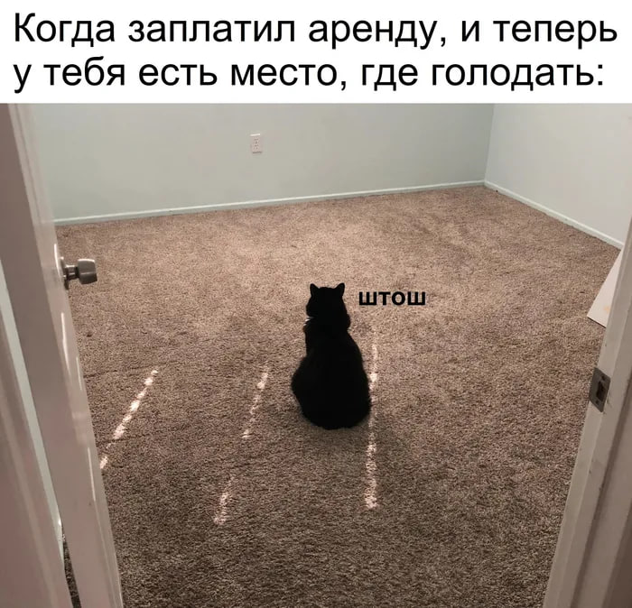 Съемные квартиры в большинстве городов России выросли в цене в январе Это выяснили аналитики федерального портала базы объявлений Так в целом по всем городам съемные квартиры с одной комнатой выросли в цене на 1 9 до 27 806 руб в месяц с двумя комнатами на 1 1 до 34 277 руб в месяц с тремя также на 1 1 до 42 950 руб в месяц Эксперты предполагают что в феврале рост стоимости съемного жилья продолжится А вы снимаете квартиру или у вас своя Подписаться на truekpru Читать нас в MAX