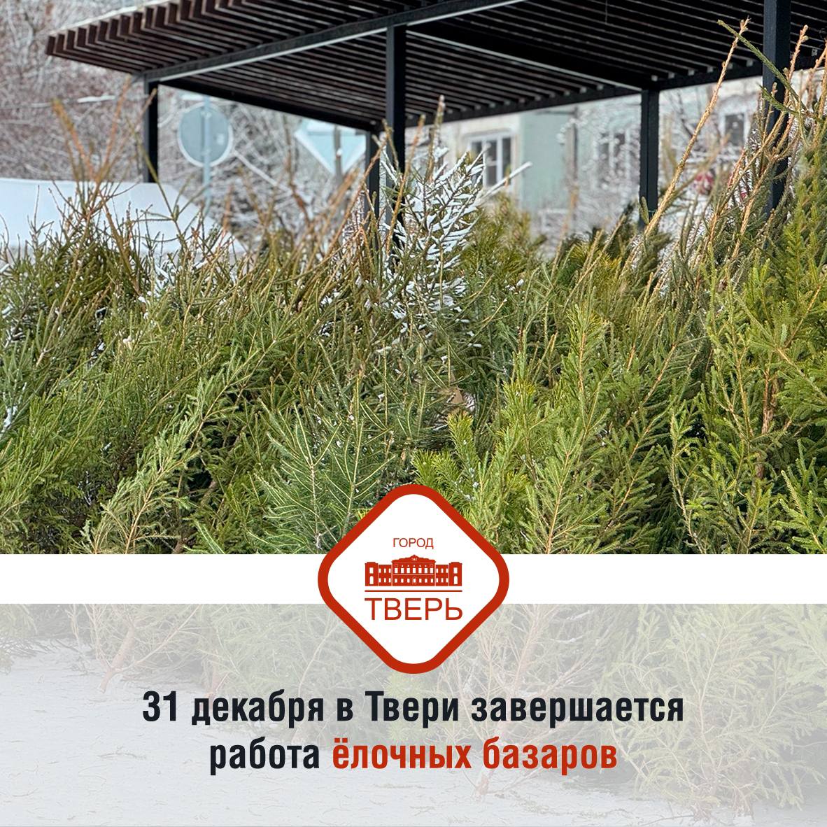 Поспешите за ёлочкой Сегодня в 20 00 в Твери завершится работа ёлочных базаров Напомним в этом году для продажи новогодних елей на территории города определены девять торговых точек которые размещены на нашей интерактивной карте clck ru 3Qv5vx