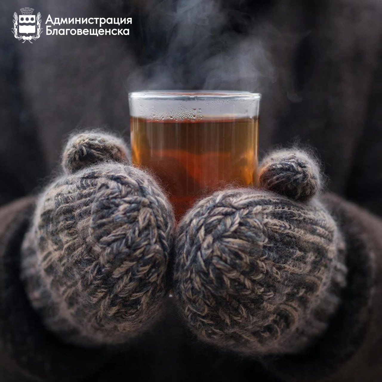 На площади Ленина для комфорта отдыхающих установили теплую палатку Для комфорта жителей и гостей города на площади Ленина на период новогодних праздников управление ГО и ЧС Благовещенска установило теплую платку  Внутри палатки предприниматель оборудует уютное пространство со столами и прилавком Там отдыхающие смогут погреться купить горячий чай или кофе а также перекусить свежей выпечкой Начнет работать она 20 декабря и будет открыта до 12 января Режим работы ежедневно с 10 утра до 22 часов Подписывайтесь на новости Благовещенска в МАХ