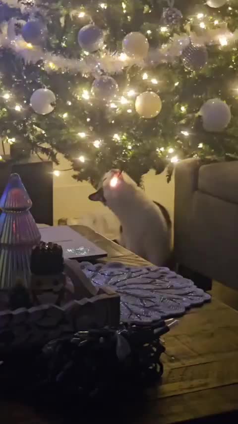 Официальное открытие сезона с новыми мероприятиями