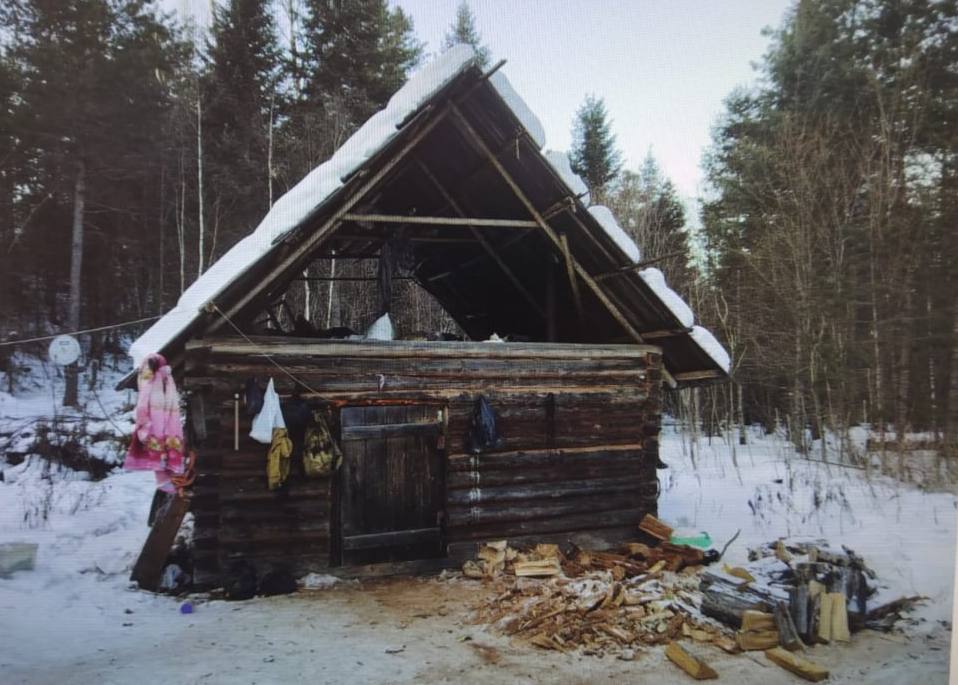 В Хабаровском крае вынесен приговор местному жителю за незаконную добычу амурского тигра  Нанайский районный суд вынес приговор по уголовному делу в отношении 24-летнего местного жителя.   Он признан виновным по ч. 1 ст. 258.1 УК РФ  незаконная добыча особо ценных диких животных , ч. 1 ст. 222 УК РФ  незаконное приобретение, хранение и ношение огнестрельного оружия .  В феврале 2023 года подсудимый, находясь на территории Национального парка «Анюйский» в Нанайском районе, произвел выстрел в сторону амурского тигра, причинив ему повреждение. Рана оказалась не смертельной, но сильно ограничила передвижение животного, сделав невозможным проведение им охоты.  Спустя несколько дней мужчина увидел рядом с охотничьим домиком, расположенном на территории Национального парка, того же тигра.  Он вновь выстрелил из ружья в животное, спровоцировав его нападение на своего родственника.   После этого подсудимый произвел еще несколько выстрелов в тигра, затем нанес ему удары топором. В результате животное погибло.  Ружье, из которого произведены выстрелы, находилось у охотника незаконно.  В судебном заседании браконьер вину не признал, пояснил, что спасал своего родственника от нападения тигра.  На основании представленных государственным обвинителем доказательств суд признал мужчину виновным и приговорил его к 2 годам и 2 месяцам исправительных работ с удержанием в доход государства 10% из заработной платы.   С осужденного в пользу государства взыскано более 2,5 млн рублей в счет возмещения вреда, причиненного окружающей среде в результате уничтожения особи Амурского тигра.    Приговор в законную силу не вступил.