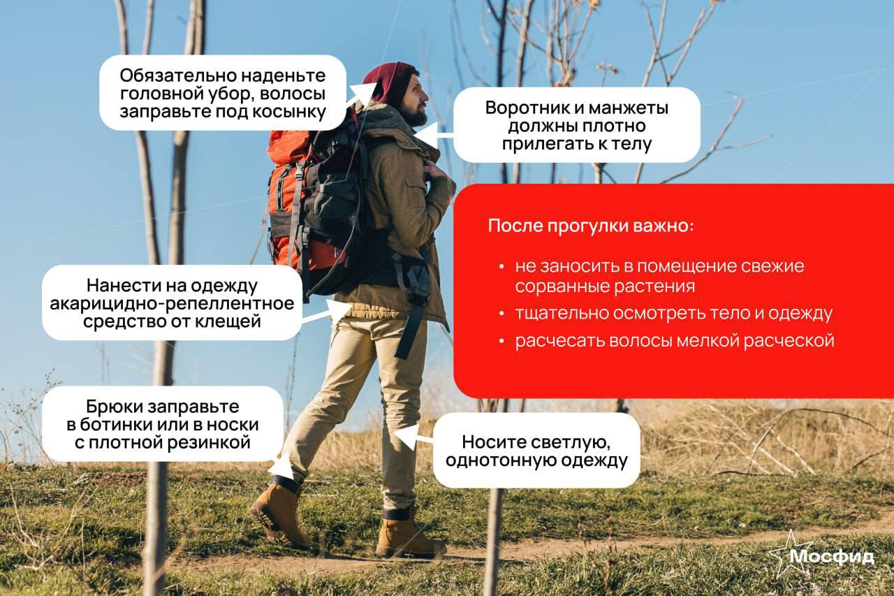 После укуса клещей почти 100 человек заразились анаплазмозом в Подмосковье. Эта инфекция вызывает лихорадку, мышечные спазмы и головную боль. Как обезопасить себя — смотрите в нашей карточке