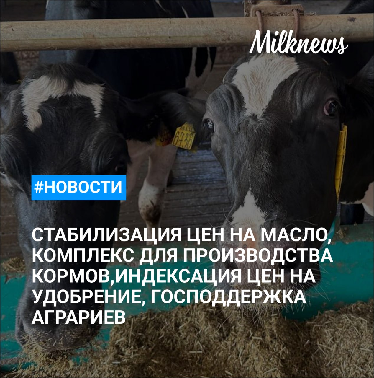 Кабмин: цены на сливочное масло стабилизировали за счет роста производства    В 2024 году задолженность аграрных предприятий Татарстана составила 331 млн руб.    Правительство направит 2,5 млрд руб. на поддержку аграриев Курской области    Российские ученые создали многоэтажный тепличный комплекс для производства кормов КРС круглый год    Новак поручил проработать вопрос об индексации внутренних цен на удобрения в России