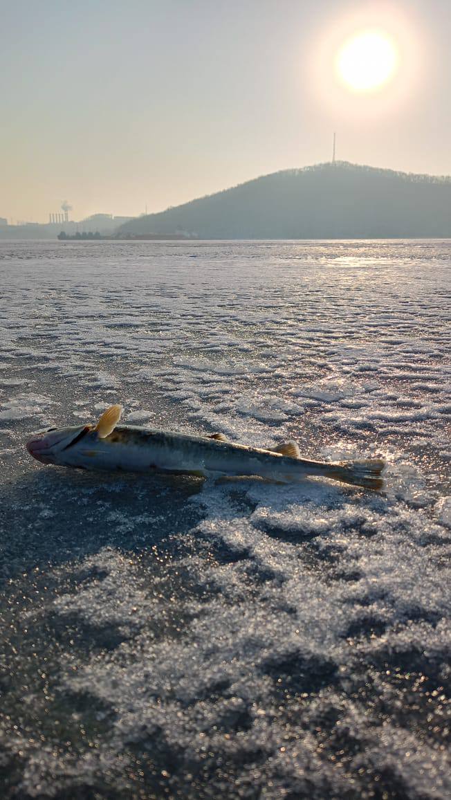 В пятницу морозы во Владивостоке начнут ослабевать. Днём уже выше -10°С, ветер станет тише.   Отметим, сегодняшний день оказался самым холодным с начала этой зимы.