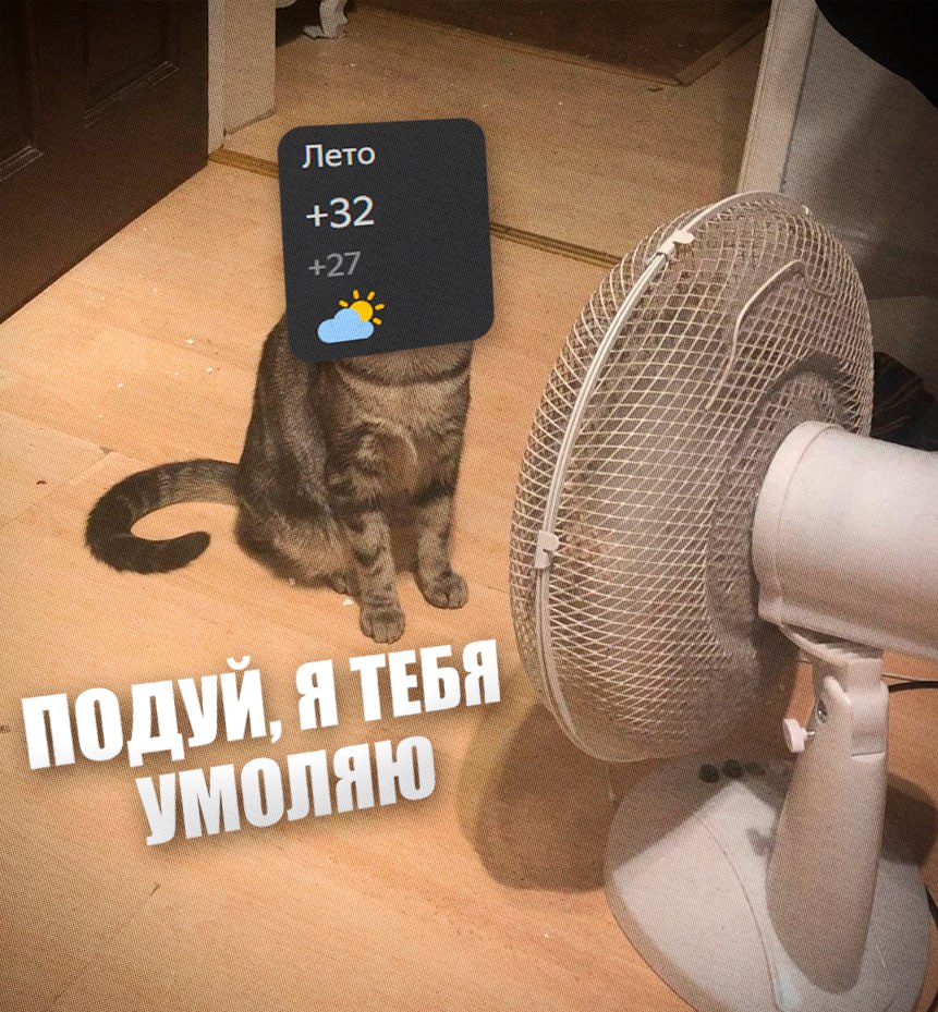 Петербург ожидает жаркое лето такие прогнозы дают центры погоды Сезон будет знойным а пик жары придётся на июль и август в этот момент температура достигнет своего пика Читай нас в MAX Читай нас в Telegram