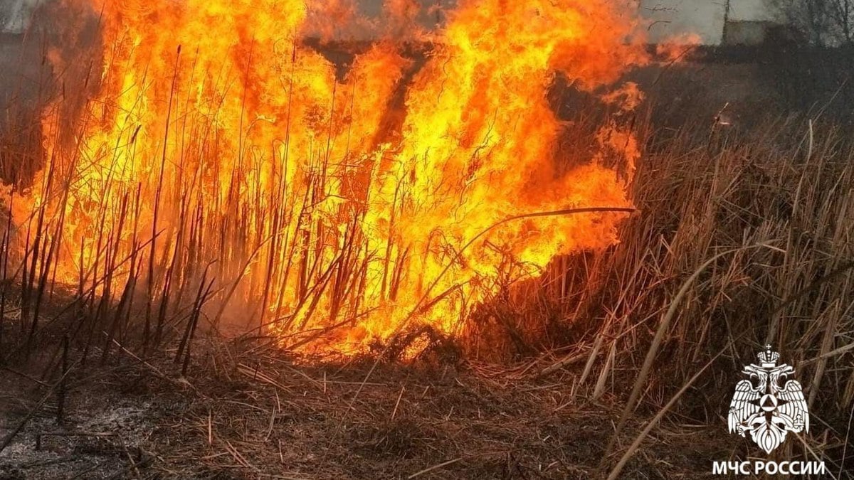 За минувшие выходные в Рязанской области потушили восемь загораний сухой травы. Об этом сообщила пресс-служба регионального управления МЧС.  Главное управление МЧС по Рязанской области напоминает об административной ответственности за поджог.  В отдельных случаях возможна уголовная ответственность.  Фото: ГУ МЧС России по Рязанской области