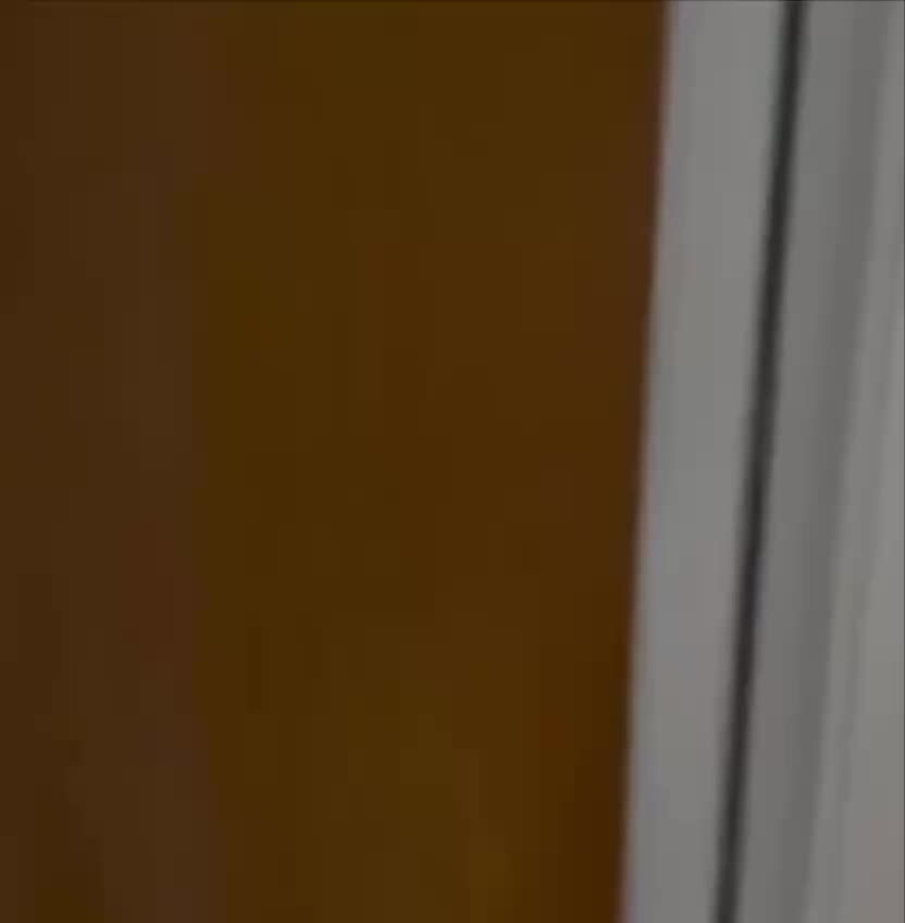 Исследование: Кошки громче мяукают на мужчин, чем на женщин