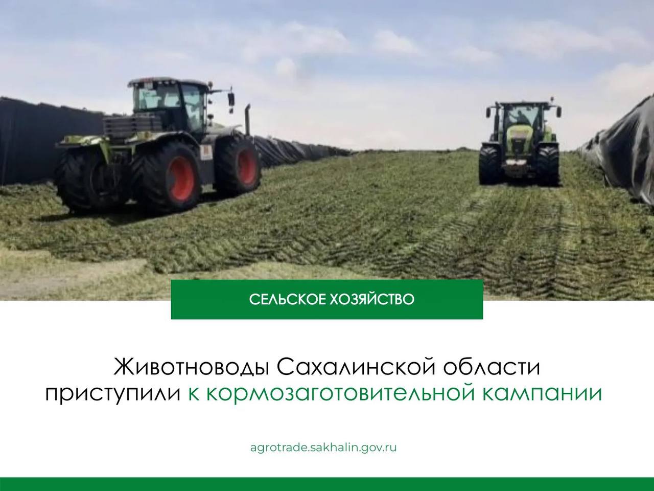 Предприятия Сахалинской области подошли к важнейшему этапу сельхозпроизводства — кормозаготовительной кампании. В этом году погода позволила аграриям начать готовить корма на две недели раньше, чем в прошлом. В первой декаде июня к первым укосам приступило предприятие «Грин Агро-Сахалин»: уже скошено зелёной массы на площади более 200 га и заготовлено около 700 тонн сенажа. В 2025 году во всех категориях хозяйств планируется заготовить 200 тысяч тонн грубых и сочных кормов. Данного количества кормов достаточно для производства 60 тысяч тонн молока и более 3 тысяч тонн мяса КРС. Начало массовой кормозаготовки планируется в первой декаде июля. Кстати, сахалинские животноводы также могут рассчитывать на поддержку со стороны Губернатора и областного правительства. Аграрии имеют возможность получить компенсацию затрат на приобретение семян кормовых трав, сельскохозяйственной техники для заготовки кормов и др. #сельское_хозяйство Мы в Telegram Мы ВКонтакте Мы в Одноклассниках