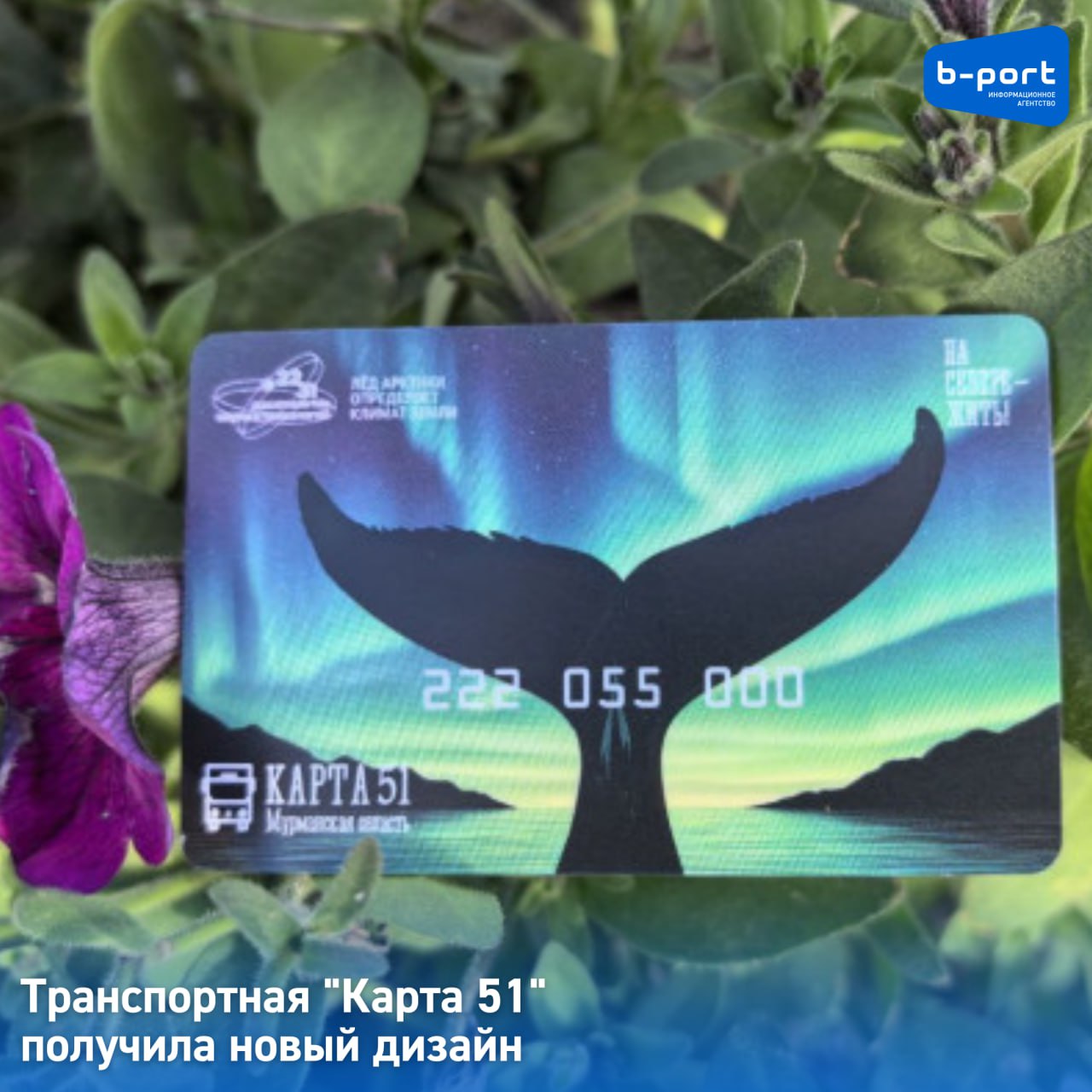 Транспортная Карта 51 получила новый дизайн В Мурманской области вводят новый дизайн Карты 51 пластиковой пополняемой карты для безналичной оплаты проезда на регулярных городских и пригородных маршрутах Обновление проводится в рамках Десятилетия науки и технологий для популяризации научных достижений и технологического прогресса среди населения Кольского Заполярья На опубликованной фотографии карты виден хвостовой плавник кита на фоне полярного сияния Подробности