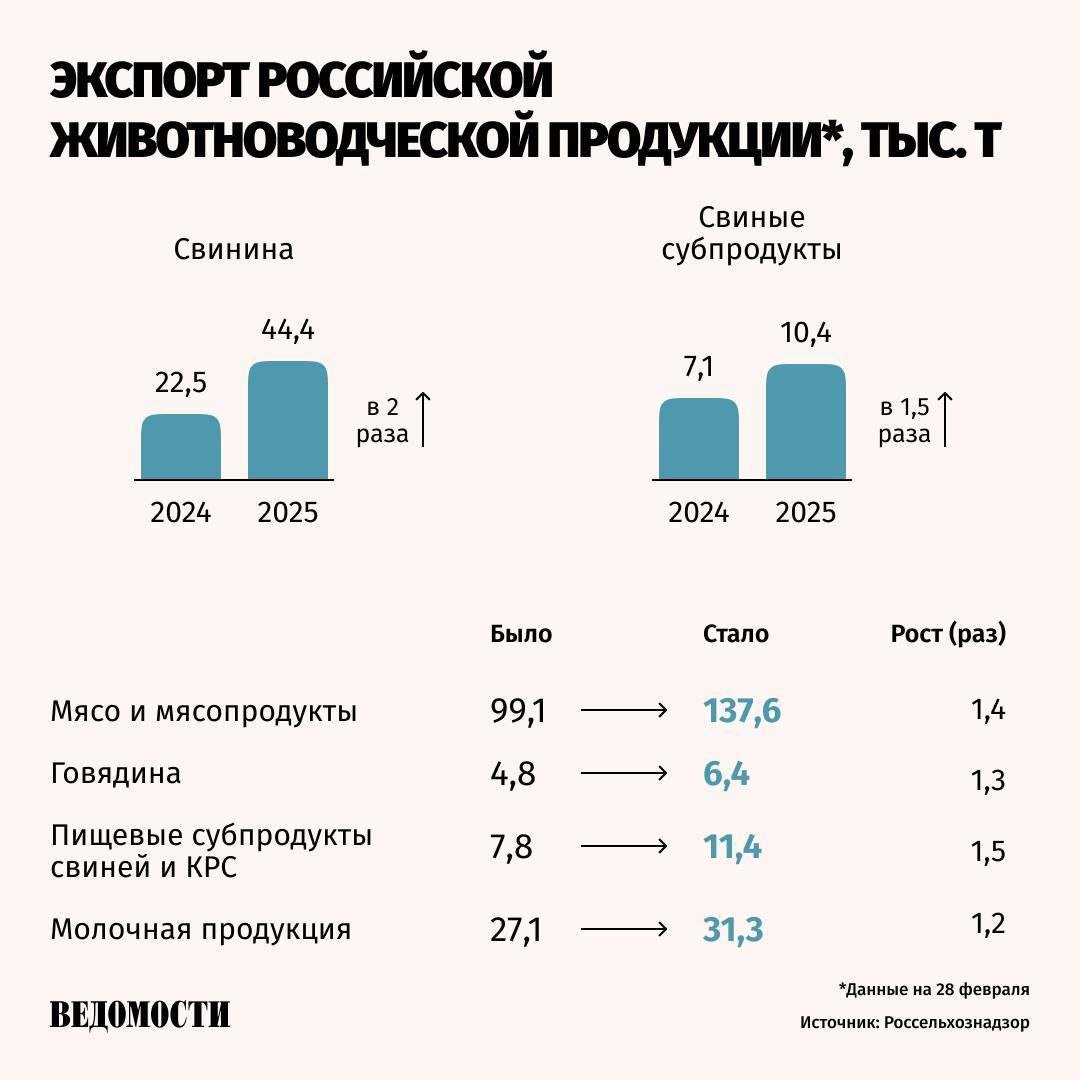 Объем экспорта российской свинины увеличился вдвое и составил 44,4 тыс. тонн, сообщает Россельхознадзор.   По данным на 28 февраля, больше всего экспорт свинины увеличился во Вьетнам – в 2,3 раза – и составил 11 тыс. тонн. Объем поставок также увеличился в Гонконг  2,7 тыс. тонн , Белоруссию  19,2 тыс. тонн , Сербию  2,1 тыс. тонн  и Казахстан  1,5 тыс. тонн .   ⏬Экспорт мяса и субпродуктов птицы вырос на 18% до 56,9 тыс. тонн. Основными направлениями поставок стали Саудовская Аравия, Казахстан, Узбекистан, Киргизия, Армения и ОАЭ.   ⏬Вывоз животных составил 71 тыс. голов, что в 1,5 раза больше показателя аналогичного периода прошлого года. Из них крупного рогатого скота – 24 тыс. голов – вывезли в Азербайджан  13 , Киргизию  4,6 , Узбекистан  1,7  и Таджикистан  1,7 .     Подпишитесь на «Ведомости»