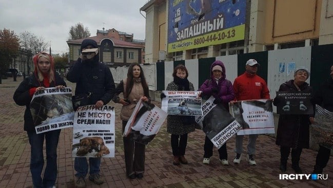 Сегодня на Площади Труда в Иркутске прошел митинг зоозащитников, которые требуют справедливого наказания для подростков из Тулунского района за издевательства над собакой. Активисты выступили за то, что детей должны привлечь к уголовной ответственности по статье о жестоком обращении с животными.   На митинге, продолжавшемся около 2 часов, собрались люди с плакатами, на которых были написаны лозунги, размещены фото собак, которые пострадали или погибли от рук человека. Еще на плакатах были цитаты великих людей про гуманизм и сострадание к братьям нашим меньшим.   Также на акции собирали подписи, которые зоозащитники намерены приложить к заявлениям в полицию, следственный комитет и прокуратуру. В этих заявлениях люди требуют уголовного наказания для подростков из Тулунского района, иркутянина, который застрелил собаку на детской площадке на Баррикад, и ангарчанина, который выбросил своего пса из окна многоэтажки.