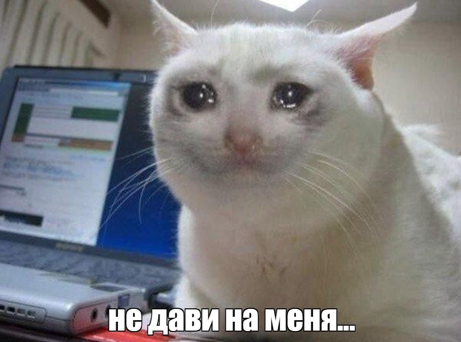 Рекордно высокое атмосферное давление ожидается в Москве в это воскресенье По словам метеоролога Татьяны Поздняковой 14 сентября показатель достигнет 762 миллиметров ртутного столба Такого не было с 1949 года Тогда давление в этот день составляло 758 6 миллиметров ртутного столба Синоптик добавила что это будет первый осенний рекорд текущего года Подписаться на truekpru Читать нас в MAX