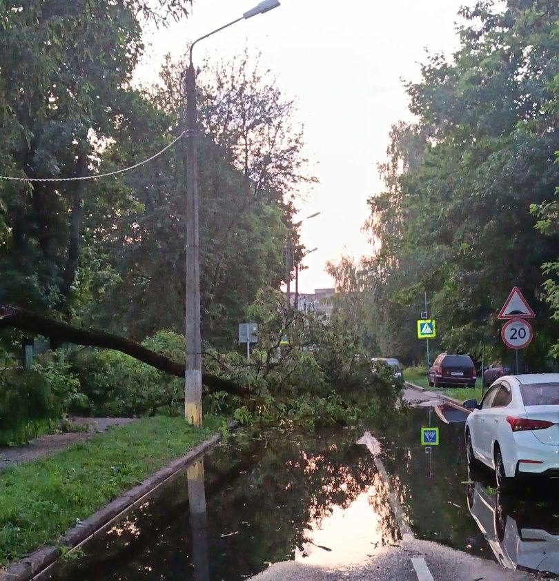 1 2 3 В Железногорске продолжается ликвидация последствий урагана Всю ночь работали дежурные бригады городской коммунальной службы и электрики. Освобождены проезды в районе кольца ГОТЭК, съезд с кольца на улицу Никитина, проезды к амбулатории и по улице Лени Голенькова. Восстановительные работы продолжаются. — Просим горожан сохранять спокойствие, все упавшие деревья будут убраны. Специалисты продолжают обследование территории города, — сообщил глава города Александр Михайлов. Вести-Курск. Только проверенная информация Прислать новость