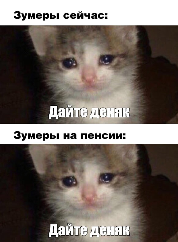 Зумеры рискуют встретить старость в бедности в Госдуме предупредили что их пенсий не хватит даже на базовые нужды Причина возможное обесценивание пенсионных баллов если их стоимость начнёт снижаться выплаты будут только уменьшаться В итоге уровень жизни молодёжи на пенсии резко просядет особенно без дополнительных доходов 1337