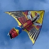 Аватар Телеграм канала: Молодцы