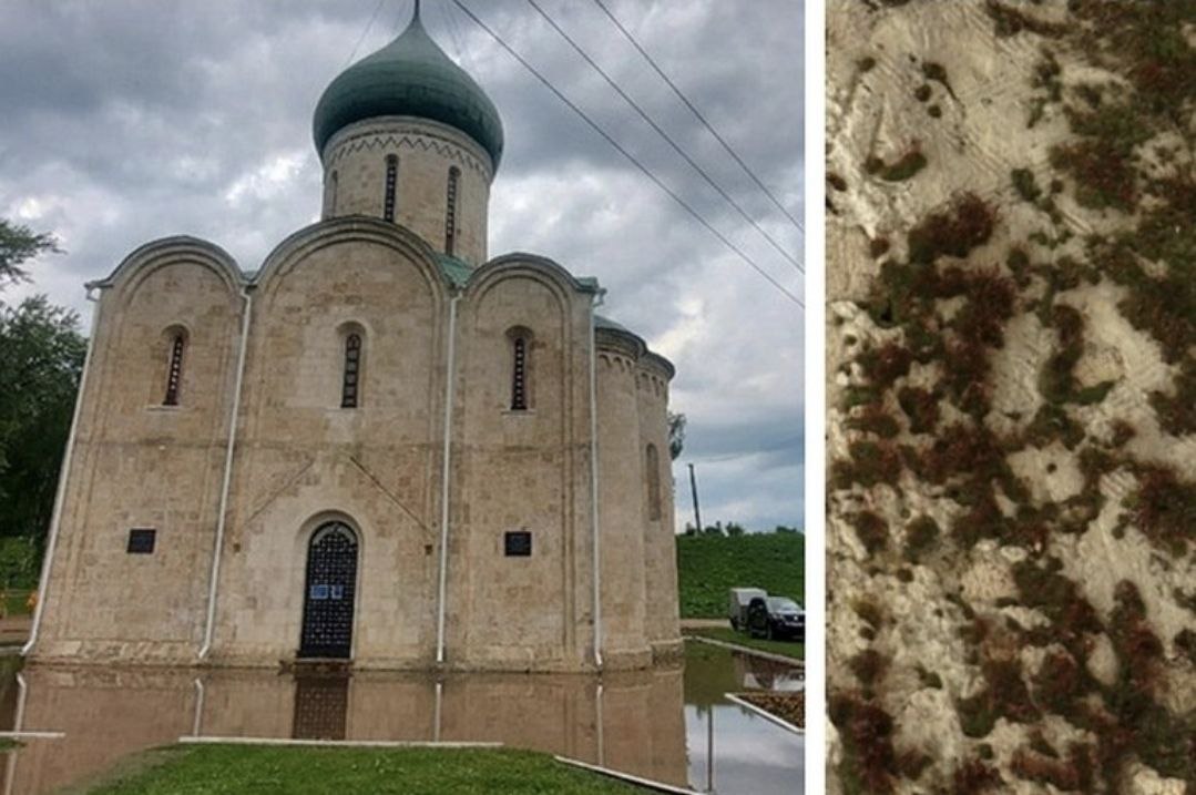 Храм, где крестили Александра Невского, губят доисторический "паразит" и подтопления В Переславле-Залесском частично затоплен Спасо-Преображенский собор. Вся дождевая вода скапливается возле храма. Проблема в том, что у собора нет своей дренажной системы. И практически каждый год в Минкульт России подается заявка с научно-проектной документацией по благоустройству и сохранению собора, в том числе и по созданию собственной дренажной системы, но ситуация не меняется. Еще один враг старинного собора - мох. И он стремительно растет на стенах. "Он пережил Ледниковый период, а собор его не переживет", - сетуют специалисты, указывая на "доисторического паразита", которым поражен камень. Отметим, что собор был заложен Юрием Долгоруким в 1152 году. Достроили его в 1157-м при Андрее Боголюбском "Вести Ярославль"