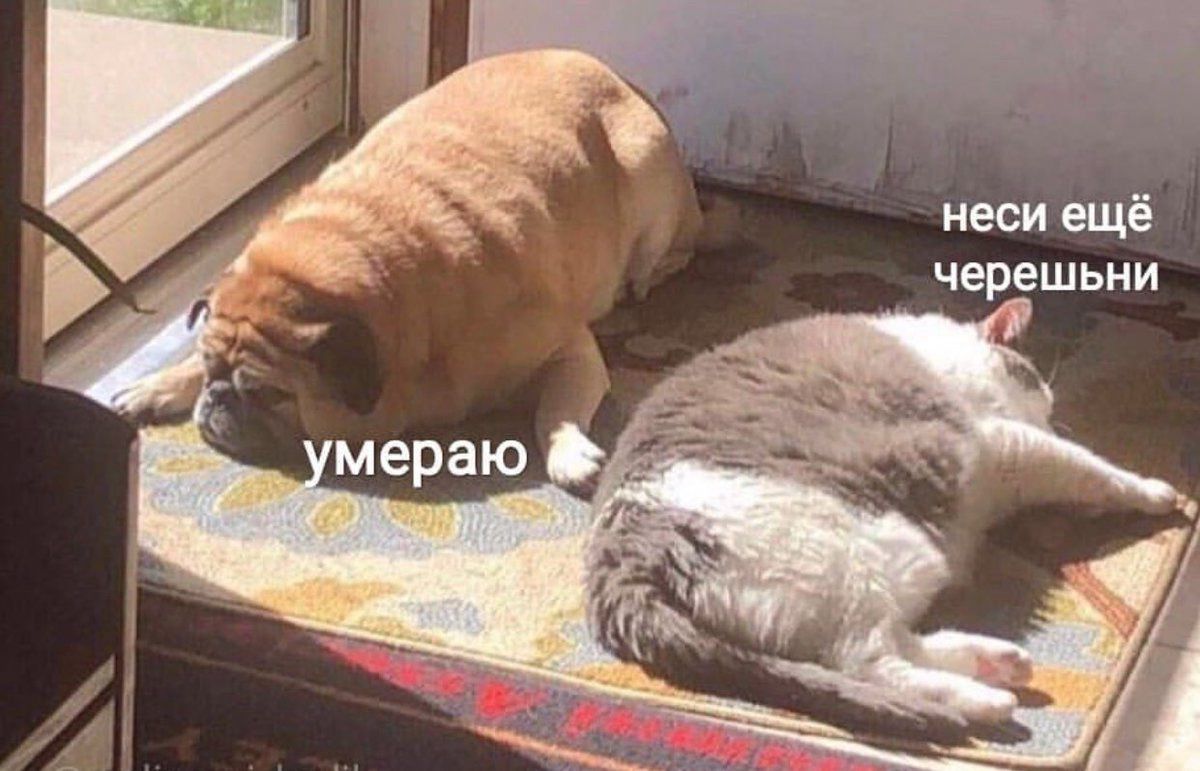 В Оренбуржье растет заболеваемость кишечными инфекциями  По информации Роспотребнадзора по региону, значительно сократилось число случаев COVID-19, гриппа и ОРВИ.  Также стали меньше болеть туберкулезом, внебольничными пневмониями, коклюшем, вирусным гепатитом В, паразитарными инфекциями.  Но у лета своя специфика: начало расти число заболевших острыми кишечными инфекциями.   Так что не забываем чаще мыть руки и не едим ягоды с куста, даже если так вкуснее.
