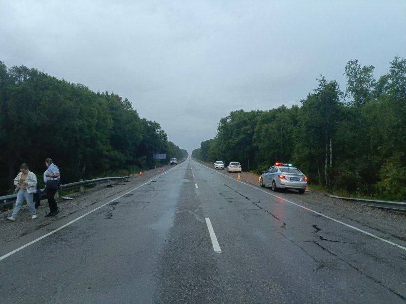 Два пьяных водителя устроили смертельное ДТП в Лесозаводске В Лесозаводске на трассе "Уссури" произошла крупная авария с участием двух автомобилей, в результате которой погиб пассажир одного из них. По предварительным данным, водитель Nissan Juke, будучи в состоянии алкогольного опьянения и не имея водительских прав, не соблюдал дистанцию и врезался в Toyota Prius. После столкновения обе машины съехали в кювет и опрокинулись. Оба водителя, а также двое пассажиров Toyota Prius, получили травмы. Пассажир Nissan Juke скончался на месте от травм, несовместимых с жизнью. Медицинское освидетельствование подтвердило, что оба водителя были пьяны и не пристегнуты ремнями безопасности.