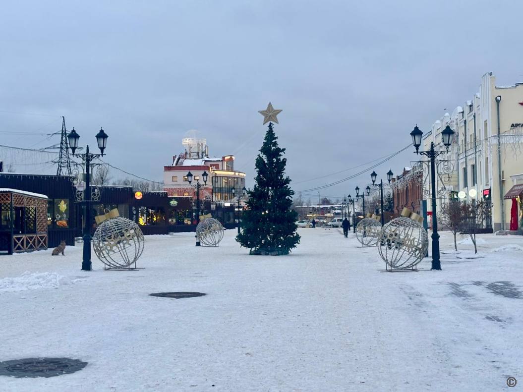 На барнаульском Арбате появились новогодняя ель и первые украшения    На пешеходной зоне монтируют бахрому, искусственную ель, которая будет украшена большими бантами и шарами. Вход в новогодний городок традиционно оформят световыми композициями в виде звезд.  Также прогулочную зону украсят гирляндами, светящимися елями, шарами, фигурами героев мультфильмов, сообщили в администрации.    Подписывайтесь на "Толк"