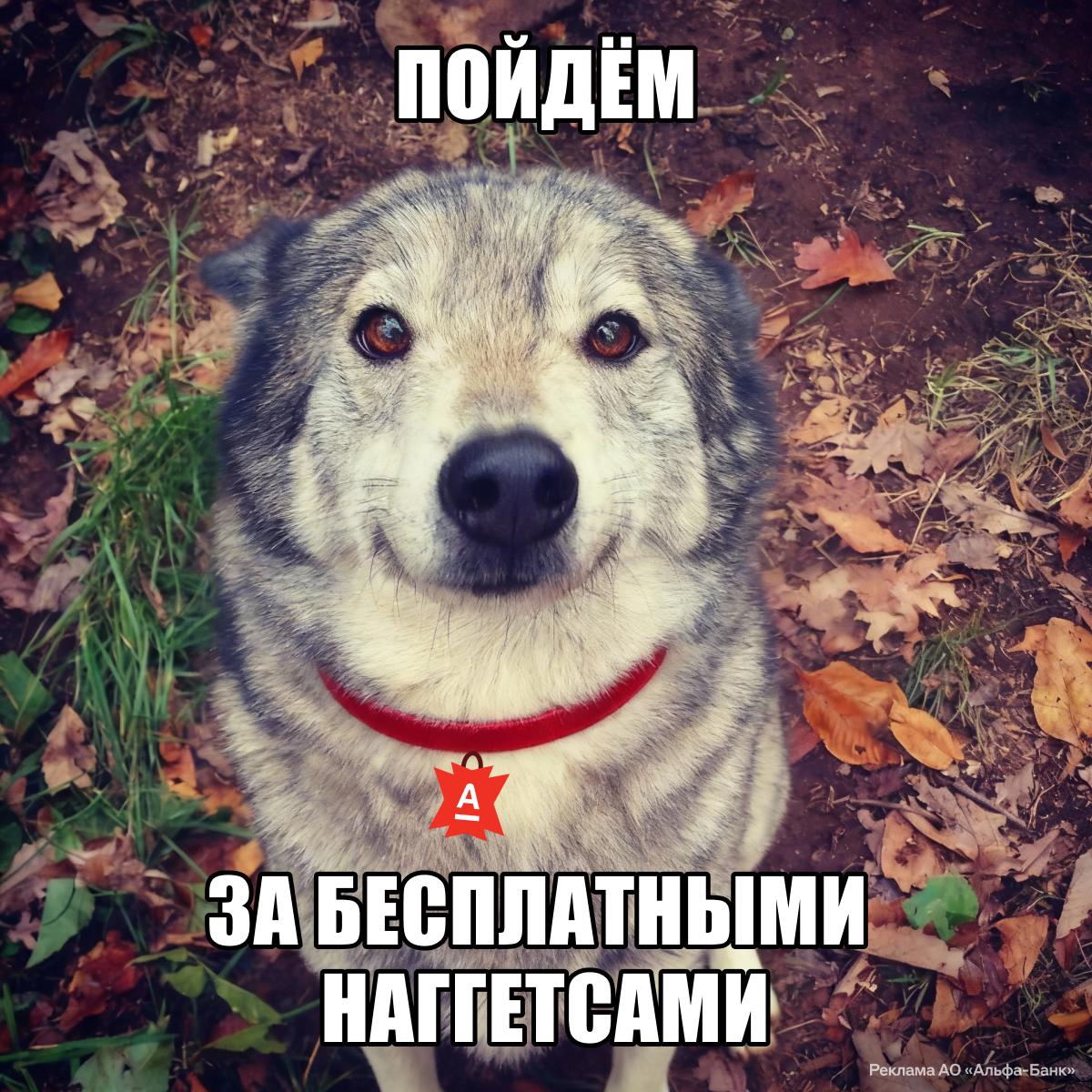 Пятничный обед можно взять с кэшбэком до 100 Альфа Банк начисляет его за позиции из меню Вкусного Календаря во Вкусно и точка Меню будут обновлять каждую неделю до 26 декабря сегодня берём 9 наггетсов Важно оплатить заказ картой банка в приложении сети