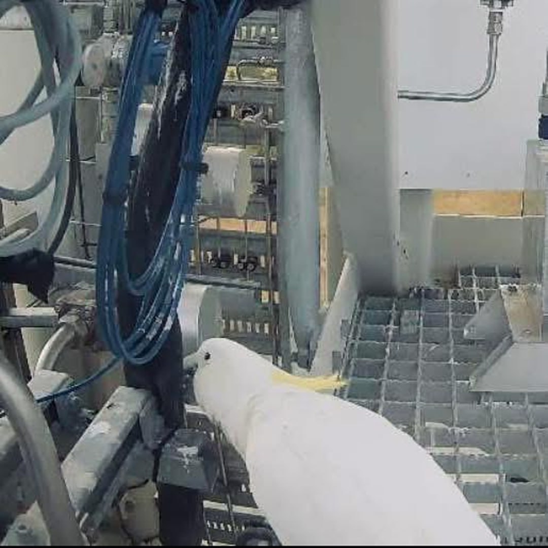 Пуск первой австралийской ракеты мог сорвать попугай Частный стартап Gilmour Space Technologies хотел запустить сверхлегкую ракету Eris, но старт перенесли из-за проблем с электрооборудованием. Оказалось, электронику мог повредить любопытный какаду: «Мы не говорим, что это причина наших проблем с электрооборудованием, но не исключаем этого», — прокомментировали в компании. Космонавтика Австралии, итоги Прокачай Мозг