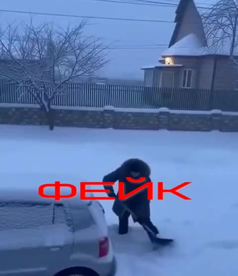 В Приморье расследуют фейковое видео о нападении тигра на человека