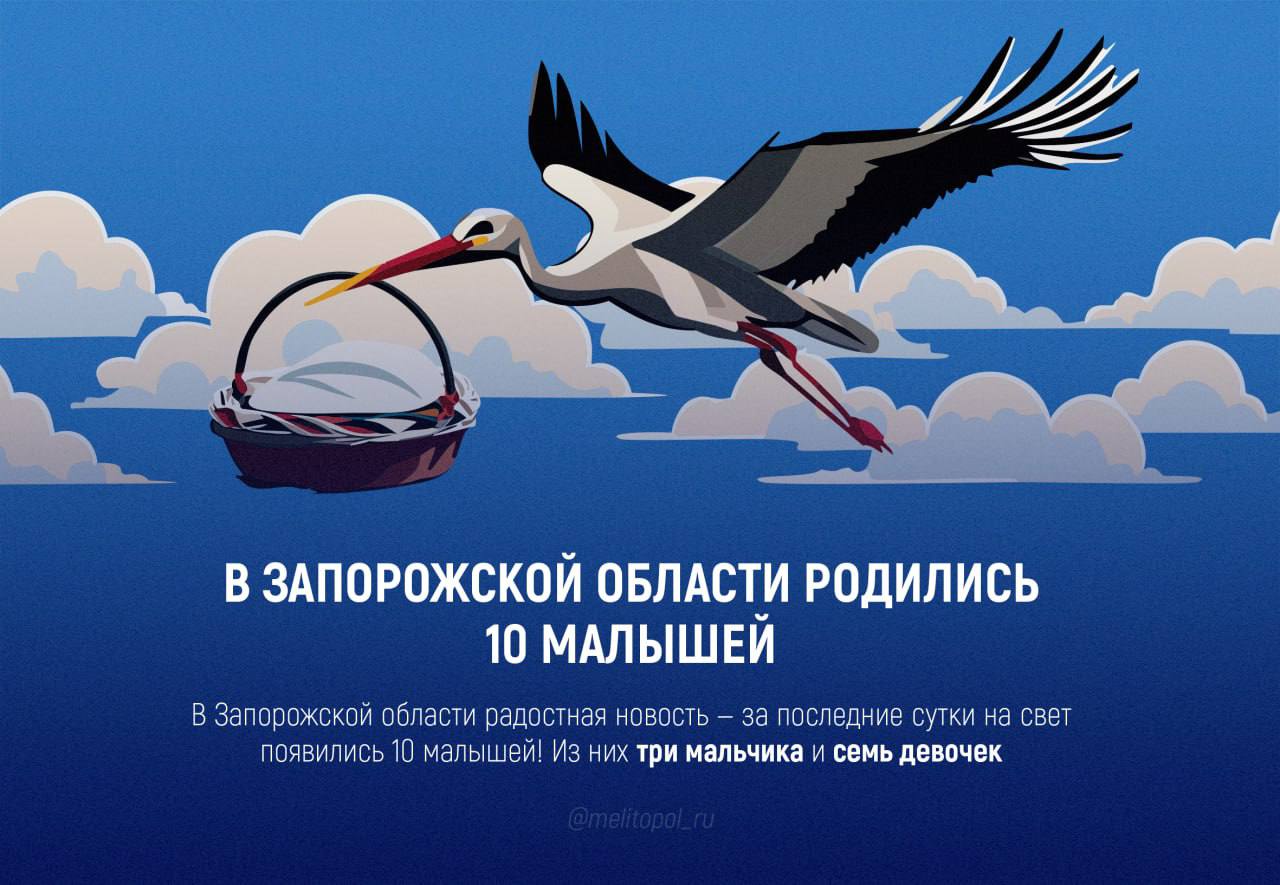 В Запорожской области родились 10 малышей В Запорожской области радостная новость — за последние сутки на свет появилось 10 малышей! Из них три мальчика и семь девочек, сообщили в региональном минздраве.