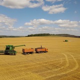 Аватар Телеграм канала: Ужурский район