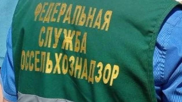 Из Челябинской области в Монголию не пустили партию комбикорма Для контроля предприятие, производящее корма и кормовые добавки, представило протоколы лабораторных исследований продукции, не имевших отношения к партии, планируемой к вывозу с территории Российской Федерации. «В качестве документов, которые должны подтверждать безопасность кормов, выработанных в июне 2025 года, предприятие-производитель представил результаты исследований, проведенных в феврале текущего года и не имеющих отношения к указанной партии», - уточнила пресс-секретарь Уральского межрегионального управления Россельхознадзора Татьяна Нахтигаль. ПОДРОБНЕЕ URALPRESS.RU