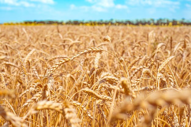 60 млрд рублей выделит Правительство на льготные агрокредиты Предприниматели смогут получить финансирование на производство и переработку сельскохозяйственного сырья приобретение отечественной техники а также на выпуск лекарств для ветеринарии Рассчитываем что принятое решение станет способствовать укреплению агропромышленного комплекса А его качественная продукция и дальше будет пользоваться спросом у граждан сказал Председатель Правительства Михаил Мишустин В 2025 году на программу господдержки российских сельхозпроизводителей было предусмотрено 190 млрд рублей Дополнительные 60 млрд поддержат не менее 48 тыс ранее выданных займов сделановроссии Подписывайтесь на Сделано в России