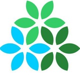 Экологи Воронежа