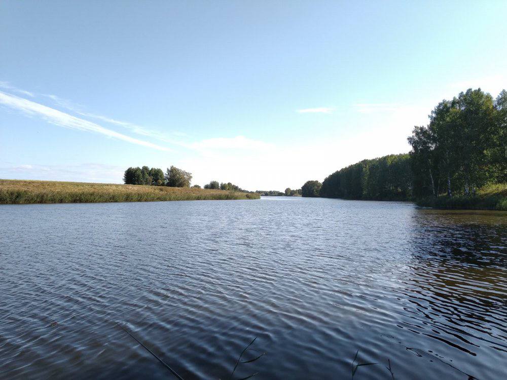 АО Кудряшовское продолжает бороться за отмену решения суда о взыскании 2 3 миллиарда по делу о якобы нанесённом ущербе окружающей среде Что говорит свинокомплекс   На ликвидацию последствий аварии от 2022 года попадание органических удобрений в почву и Амбу уже потрачено около 650 миллионов   Восстановительные работы завершены   Согласно независимой экспертизе Центра лабораторного анализа и техизмерений Росприроднадзора по СФО экосистема восстановлена берега и земли не показывают признаков загрязнения Почему предприятие не согласно с суммой штрафа Методика оценки вызывает вопросы со стороны свинокомплекса в расчётах использованы показатели веществ которые не входят в протоколы испытаний утверждают эксперты То есть корректность суммы под вопросом В Кудряшовском подчёркивают исполнение решения о взыскании может поставить под угрозу устойчивость предприятия и отразиться на социально экономической ситуации в регионе Под угрозой Работа почти 2 000 сотрудников Стабильность регионального рынка сельхозпродукции Социальные обязательства компании