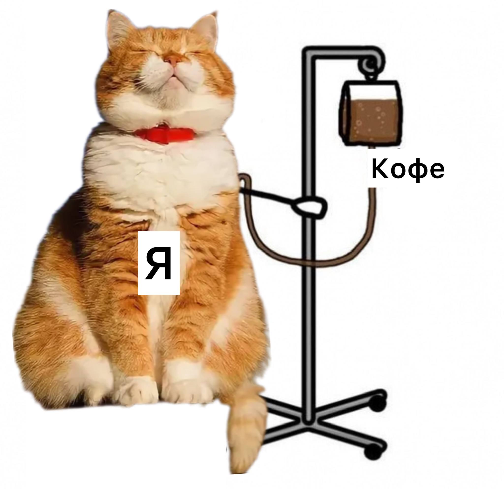 Три четыре чашки кофе в день замедляют биологическое старение исследование Ученые изучили биомаркеры у нескольких сотен человек и посмотрели на длину теломер хвостиков ДНК по которым определяют возраст клеток Исследование показало что теломеры заметно длиннее у тех кто регулярно пьет кофе Авторы предполагают что польза может быть связана не только с кофеином а еще с антиоксидантами и другими биологически активными соединениями из кофе Конечно же людям с противопоказаниями кофе нельзя Подписаться Прислать новость