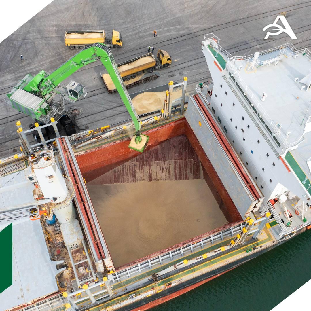 Рынок остается под давлением высоких урожаев пшеницы Однако снижение качества мукомольной пшеницы в Аргентине поддерживает спрос на ее поставки из других стран отмечают аналитики Русагротранса Прогноз экспорта пшеницы из РФ в декабре 2025 года сохраняется на уровне 4 3 млн тонн в декабре 2024 года 4 15 млн тонн 4 млн тонн в среднем за последние пять лет С 1 по 8 декабря отгружено около 900 тыс тонн пшеницы Цены на российскую пшеницу с протеином 12 5 с поставкой в декабре оставались на уровне предыдущей недели 227 5 доллара за тонну на условиях FOB agroexpert Наши каналы