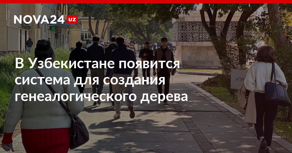 В Узбекистане появится система для создания генеалогического дерева Пользователи смогут искать информацию о рождении браке и смерти а также дальних родственников на основе генетических данных nova24 uz 312526 NOVA24 LIVE