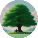 Наблюдения под чинарой 🌳