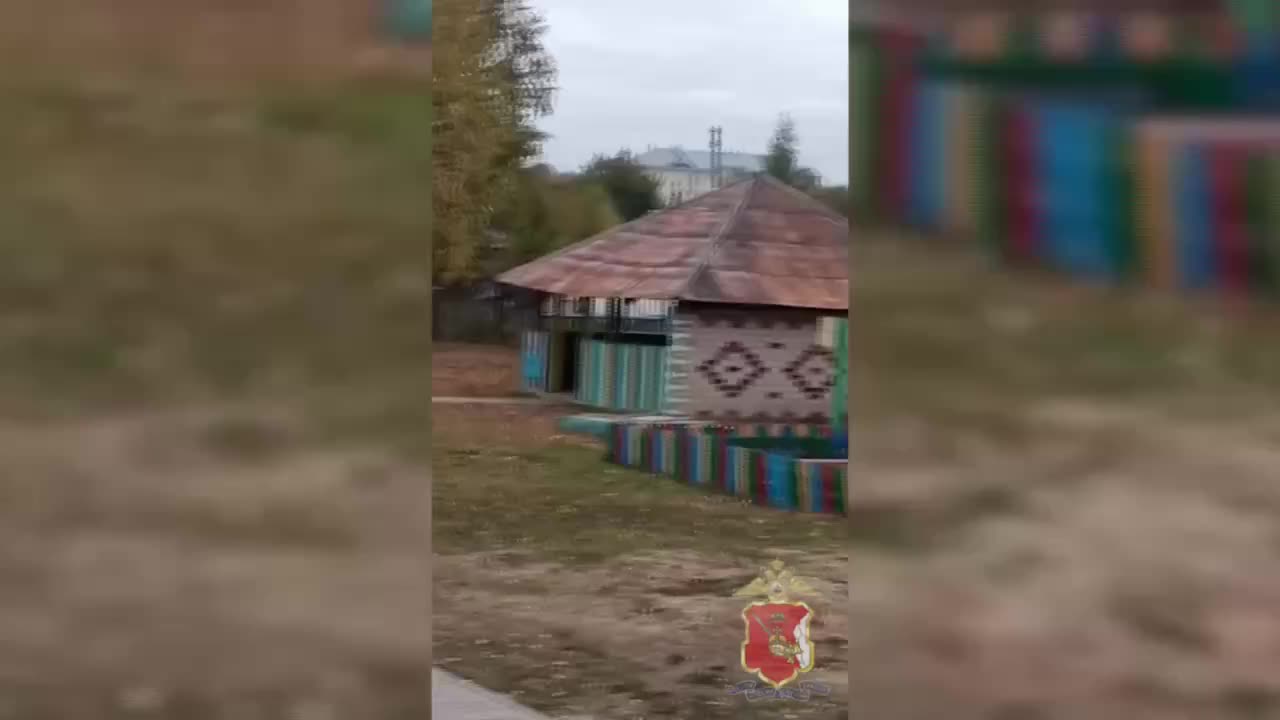 В Вологодской области волк зашел в детский сад, полицейский его застрелил