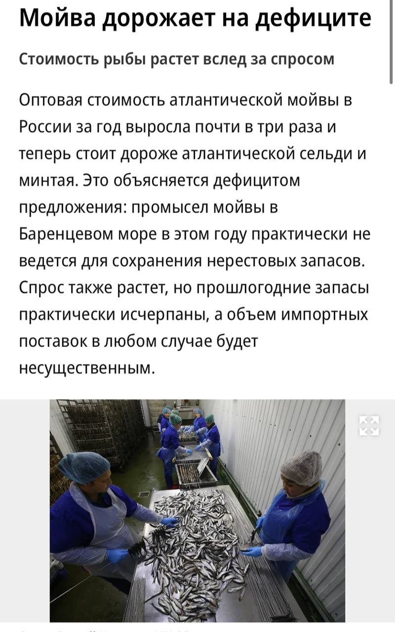 Мойва стала самой подорожавшей и дефицитной рыбой в России — с начала года оптовые цены на нее выросли в три раза, пишет «Ъ» В 2025 году мойва стала стоить дороже атлантической сельди и минтая. Эксперты объясняют это дефицитом предложения: промысел мойвы в Баренцевом море в этом году практически не ведется для сохранения нерестовых запасов. Прошлогодние запасы практически исчерпаны, а объем импортных поставок несущественный.