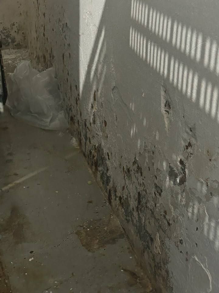 Деятельность молочного завода «Ташир» приостановлена в связи с нарушением санитарно-гигиенических норм Предприятие, принадлежащее ООО «Пицца Ташир», допустило отклонения от установленных требований, что стало основанием для соответствующих мер.
