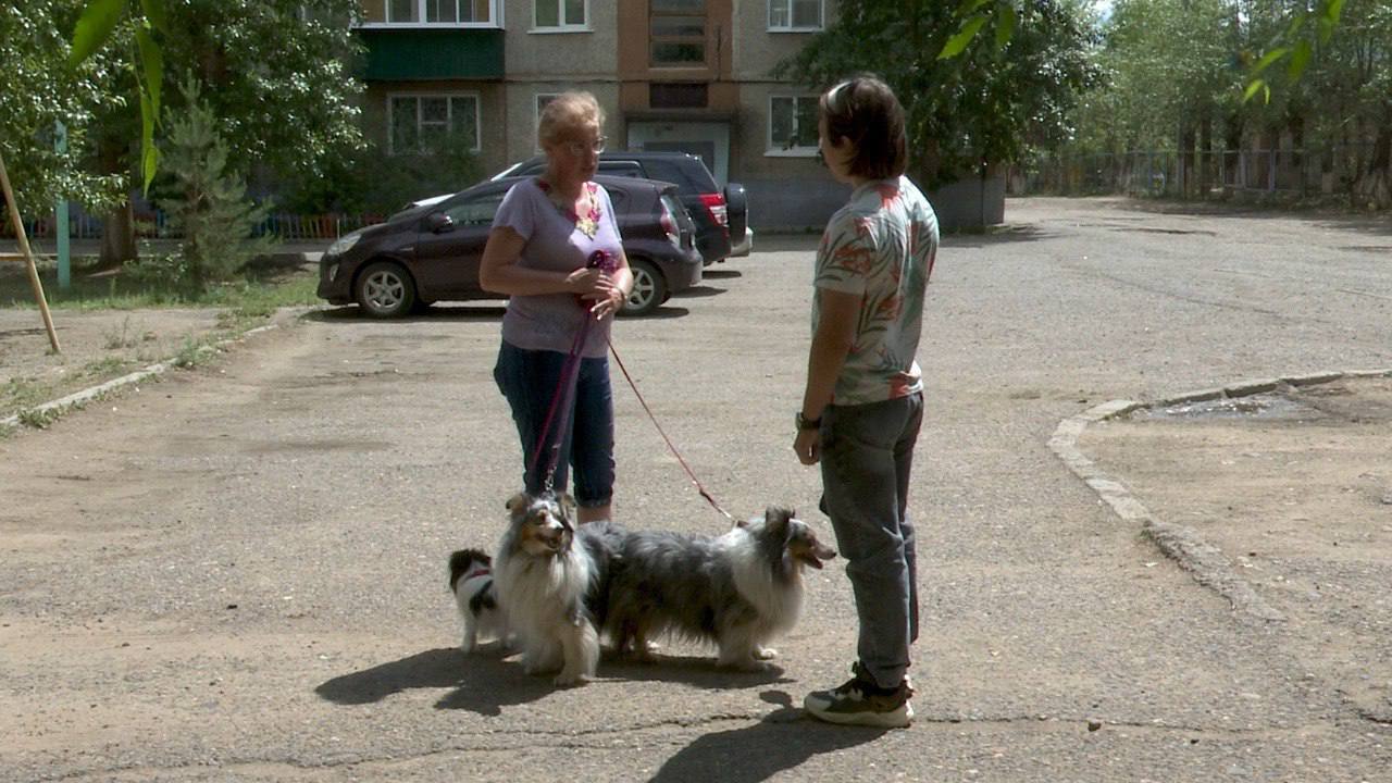 Полный перечень животных, подлежащих регистрации, появится к 1 октября  Сейчас этим вопросом занимается Государственная ветеринарная служба Забайкалья. Критерии, по которым будет определяться необходимость регистрации, находятся на стадии экспертизы.  Записаться на регистрацию можно будет через МФЦ. В назначенный день специалисты Госветслужбы проведут чипирование или нанесут специальную маркировку питомцу — в зависимости от предпочтения владельца. Также животному оформят ветеринарный паспорт.   Как сообщил председатель комитета по аграрной политике краевого парламента Михаил Якимов, предварительная стоимость процедуры составит около 600 рублей.  В районах регистрацию будут проводить станции по борьбе с болезнями животных — всего в регионе работает 30 таких учреждений.