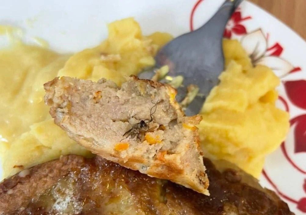 Очередной скандал связанный с питанием школьников назревает во Владивостоке Ученики школы 11 заметили таракана попавшего в котлету и теперь учреждение проверят прокуратура и Роспотребнадзор Фотографии с насекомым в еде появились в Сети сегодня 3 ноября а распространили их родители школьников Публикации ожидаемо вызвали волну негатива от приморцев но официального подтверждения нарушений пока нет В прокуратуре уточнили что проверят соответствие фактического питания с утвержденным меню качество продуктов и готовых блюд условия их приготовления и хранения Корреспондент vladivostok1ru обратился в школу но там от комментариев отказались Фото Максим Чихунов Политик и правозащитник Подписаться