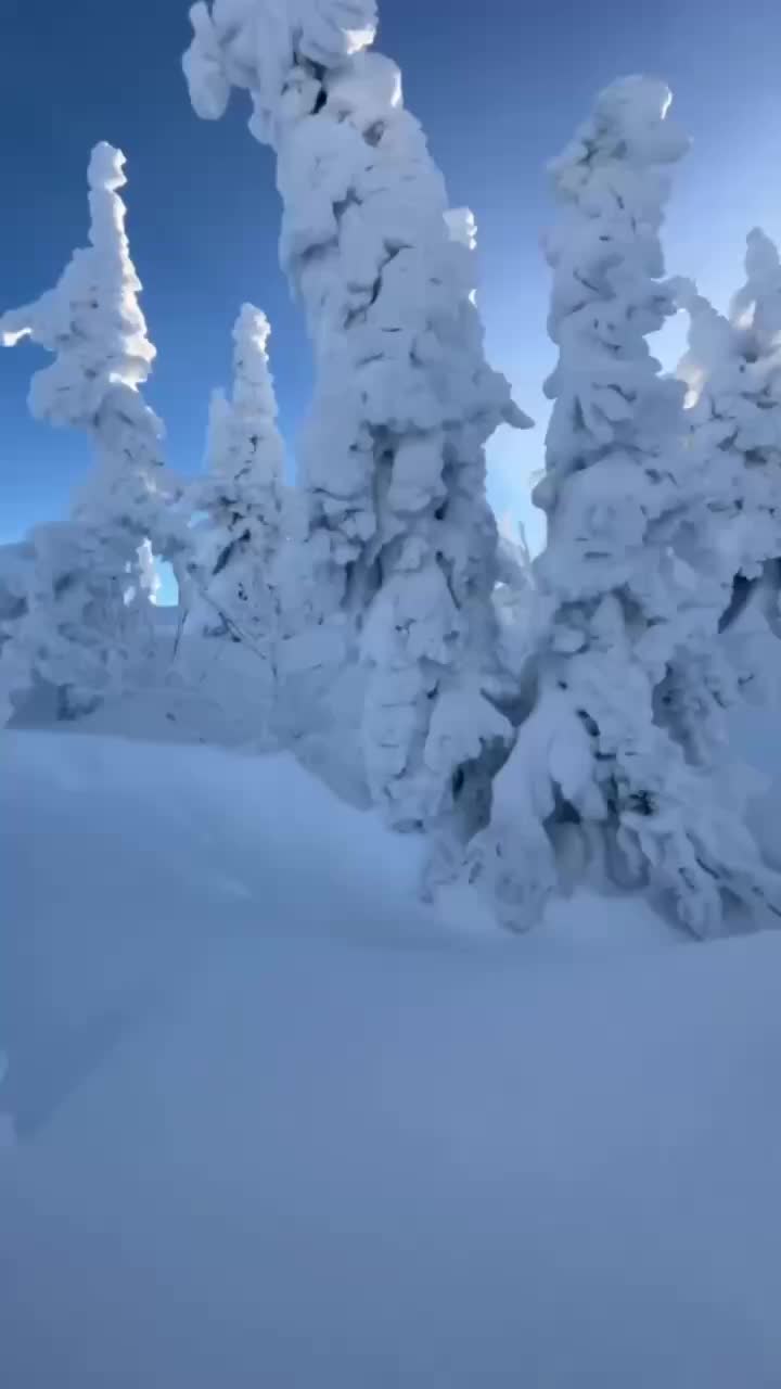 Горнолыжные комплексы Кузбасса готовятся к зимнему сезону с новыми трассами и инфраструктурой